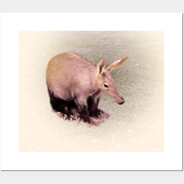 Aardvark Wall Art by Guardi